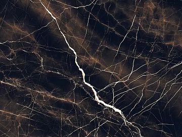 Black Golden Flower Marble texture (ID:ffach125006)