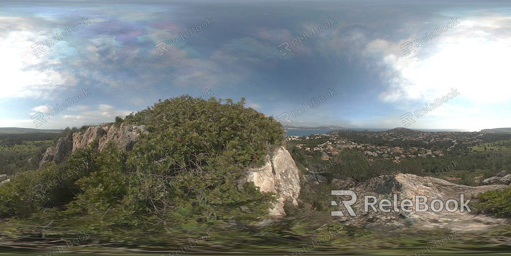 wild hdri texture