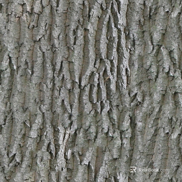 bark texture