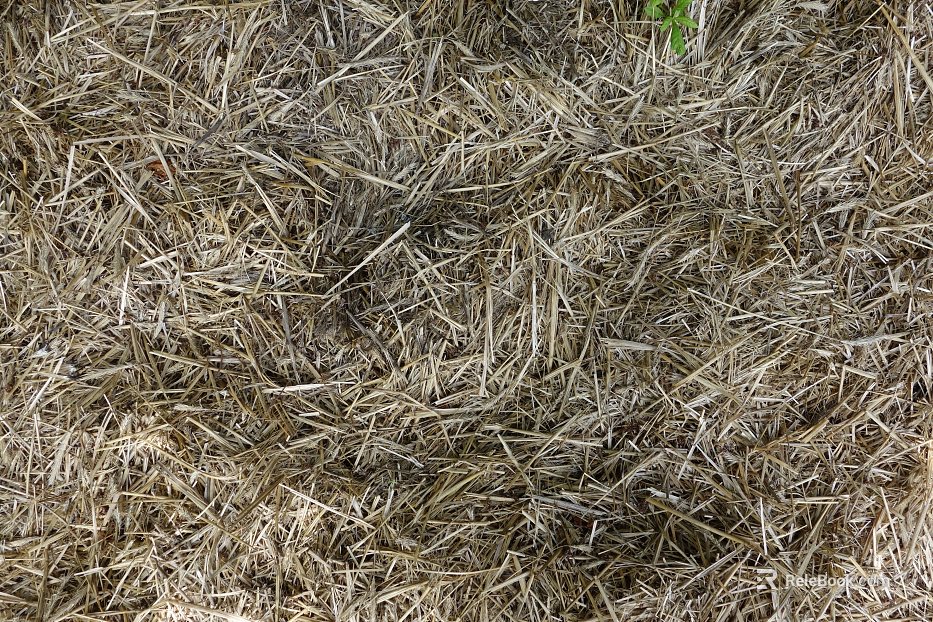 Ground texture