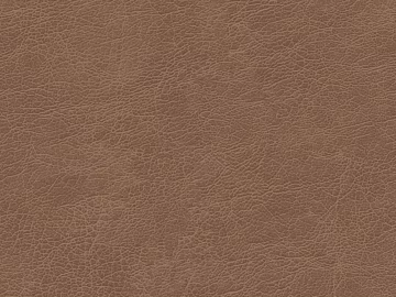 Coarse-grain leather texture (ID:ffadf3398)