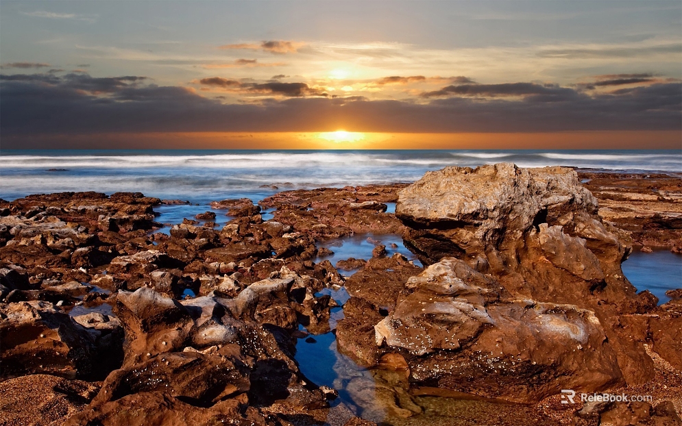 Wild Scenery texture