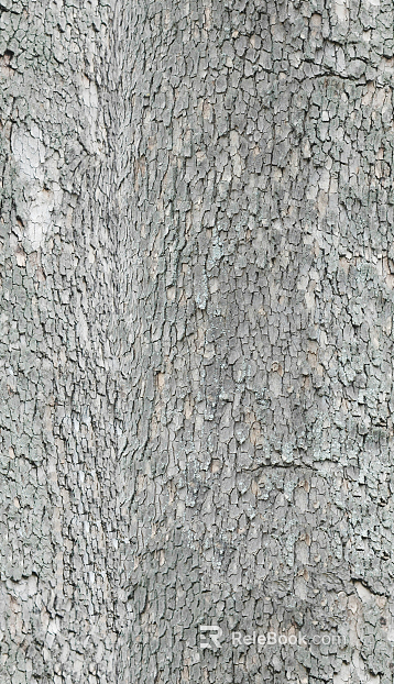 Black and White Bump texture