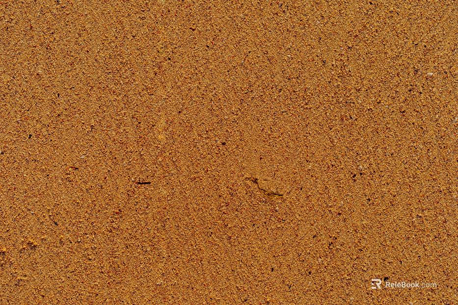 Beach texture