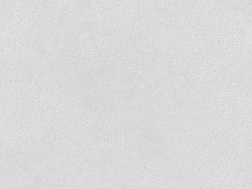 Cement texture (ID:ffach144815)