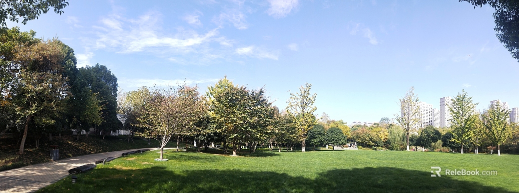 Park Exterior texture