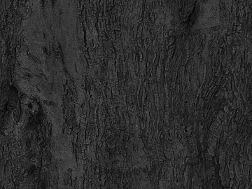 Black and White Bump texture (ID:ffaag20968)