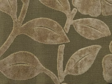 Pattern Cloth 3d model