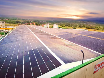 Wild Scenery texture (ID:ffaef4227)