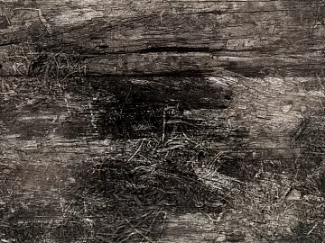 old wood black color old paint texture (ID:ffagg72231)