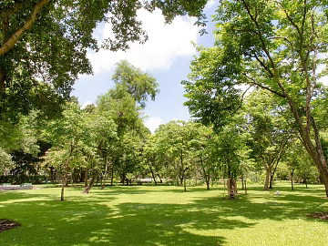 Wild Scenery texture (ID:ffach802210)