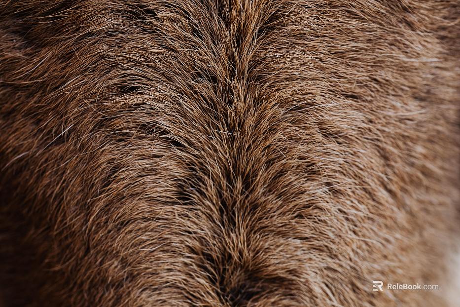 animal hair texture