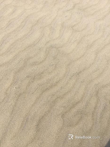 Beach texture