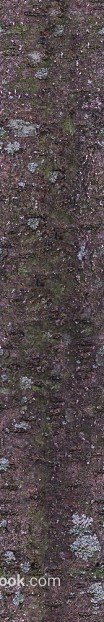 Gray-brown rock outdoor wall stone texture