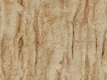 bark texture (ID:ffajg90828)