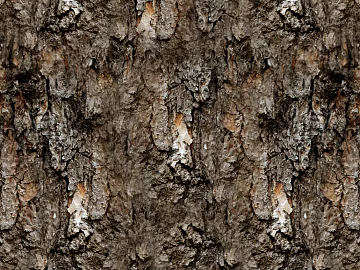 bark texture (ID:ffajg84577)