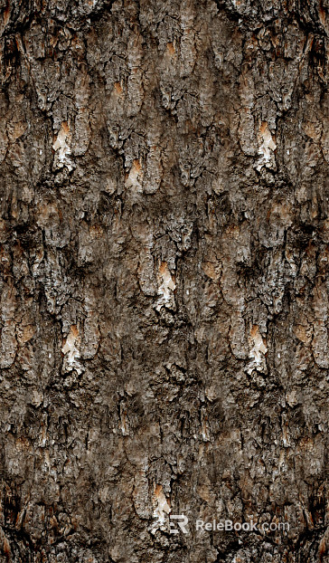 bark texture