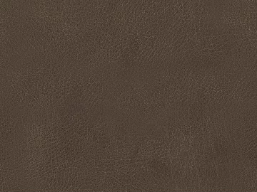 fine grain leather texture (ID:ffaag89475)