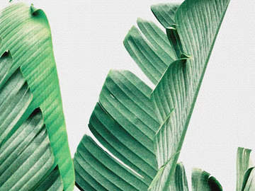 Plant painting texture (ID:ffaeg18542)