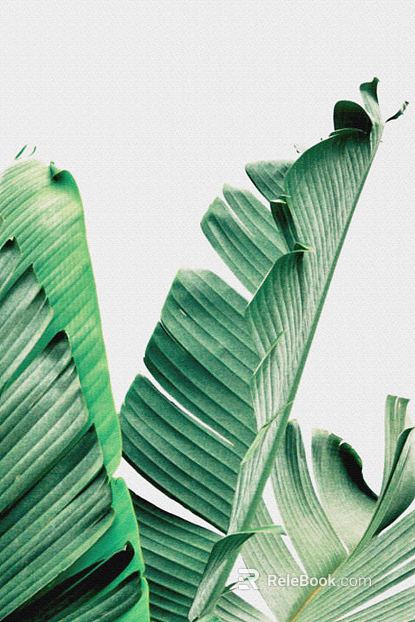 Plant painting texture