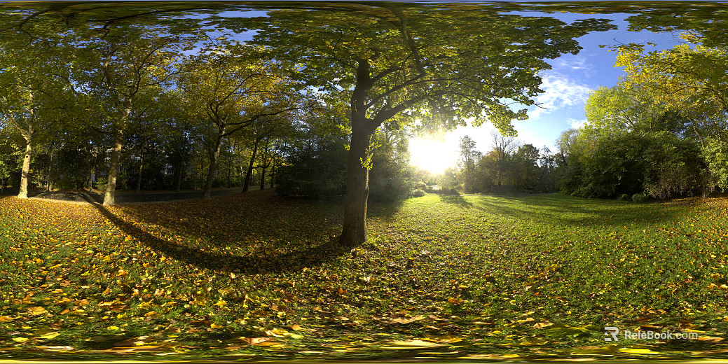 Dusk outdoor lawn forest HDR texture