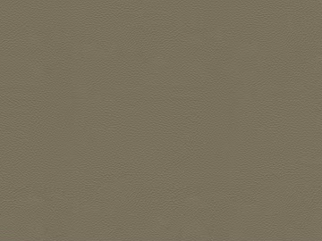 fine grain leather texture (ID:ffajf3238)