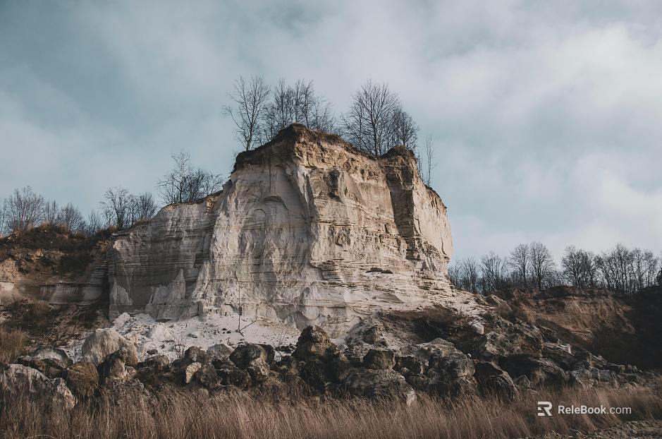 Wild Scenery texture