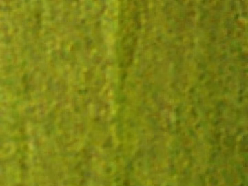 Moss green texture paint for wall surface (ID:ffaeh561956)
