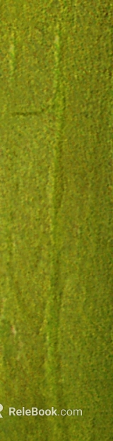 Moss green texture paint for wall surface texture