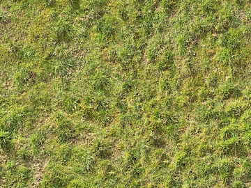 Turf ground texture (ID:ffaaf2469)