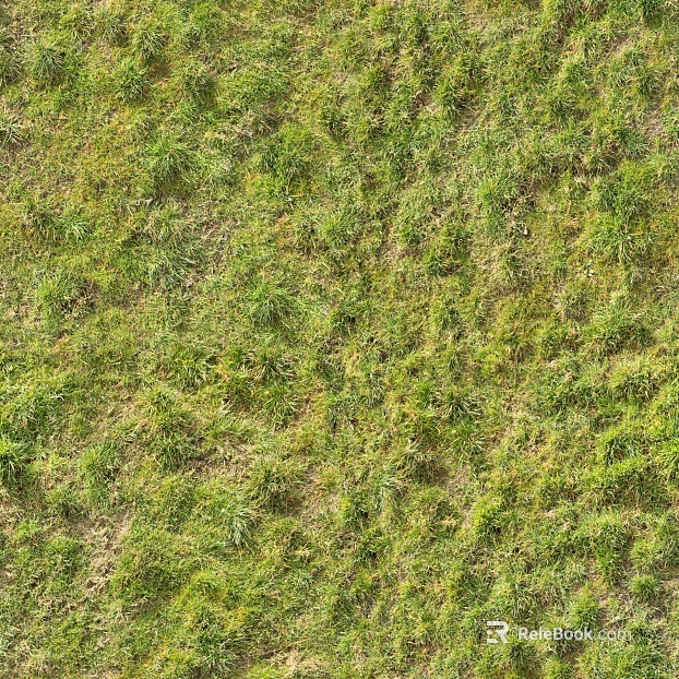 Turf ground texture
