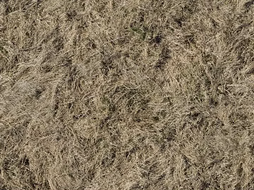 Turf ground texture (ID:ffabf4608)