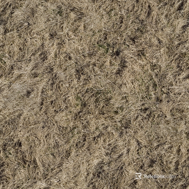 Turf ground texture