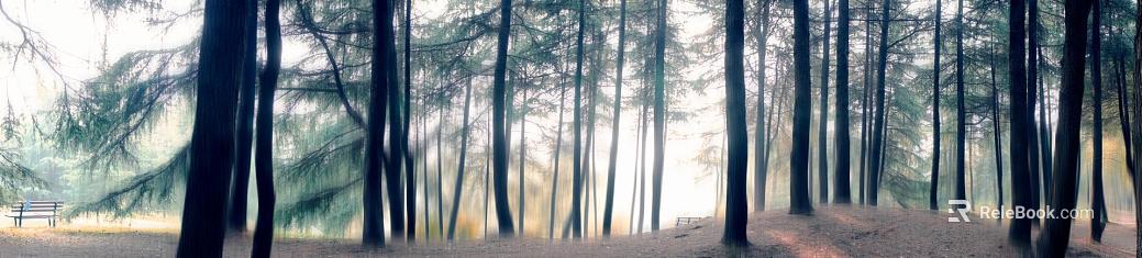 Wild Scenery texture