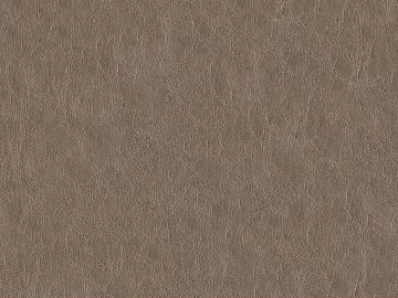 Coarse-grain leather texture (ID:ffacg24326)