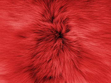 animal fur texture (ID:ffaag61577)