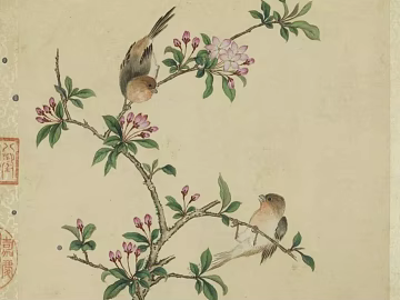 Chinese flower and bird painting texture (ID:ffach771556)