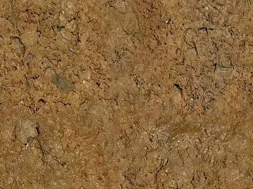 Mud ground texture (ID:ffabf1308)