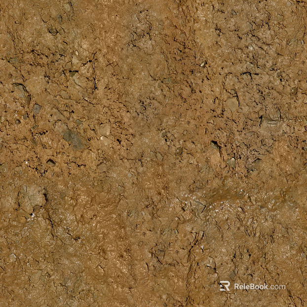 Mud ground texture