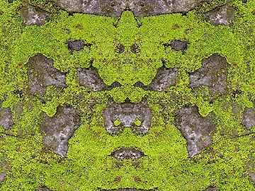 moss 3d model