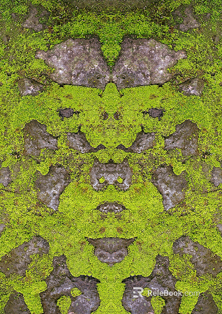 moss texture