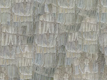 bark texture (ID:ffabf5116)