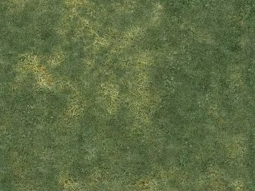 Turf texture (ID:ffach228516)
