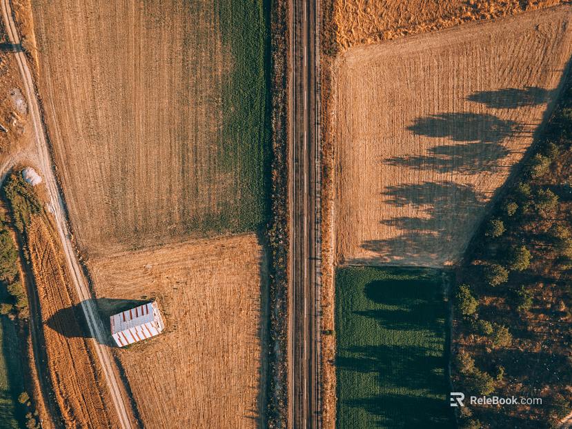 Wild Scenery texture