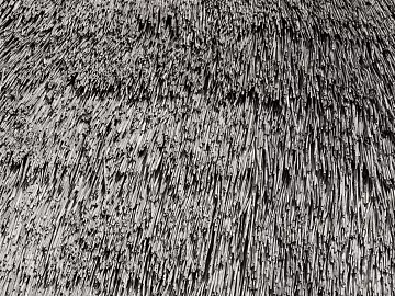 Thatch texture (ID:ffaag79572)