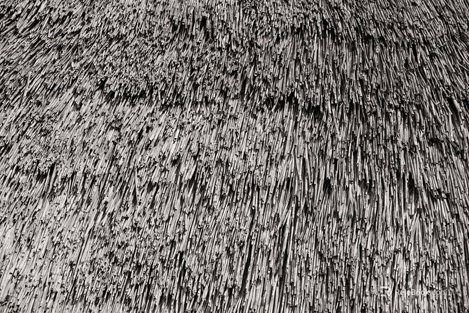 Thatch texture