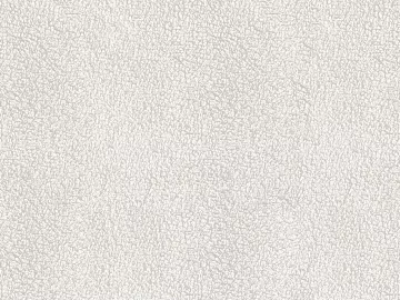 Off-white textured paint, wall coating (ID:ffaeh545532)