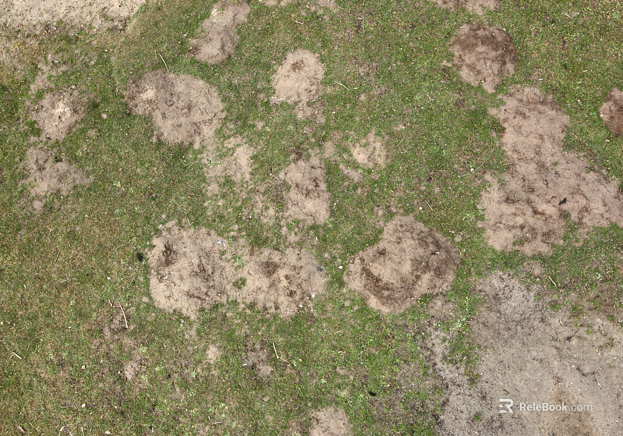 Turf texture