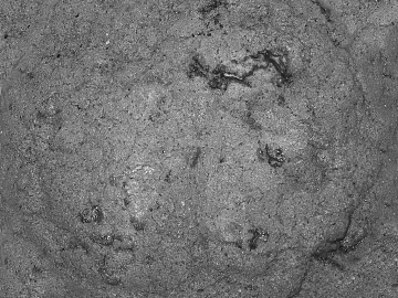 Ground texture (ID:ffacg02933)