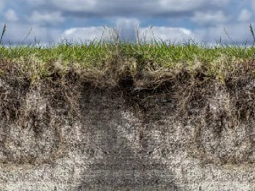 Wild Scenery texture (ID:ffajg91811)